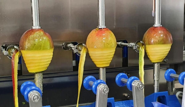 mango peeling and stoning machine