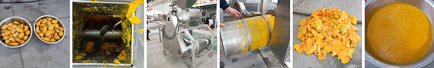 With mango pulper to make mangoes into pulp