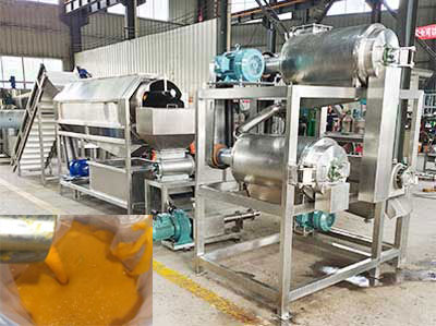 mango pulping machine