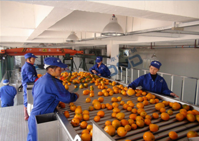 oranges processing