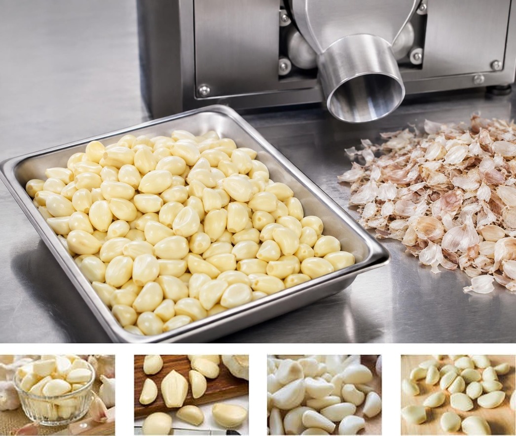 Clean intact peeled garlic cloves separated from dry papery skins after pneumatic peeling
