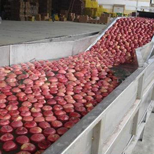 pomegranate washing machine