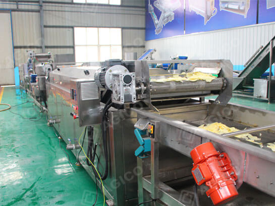 Potato chips blanching machine