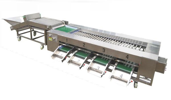 roller type sorting machine