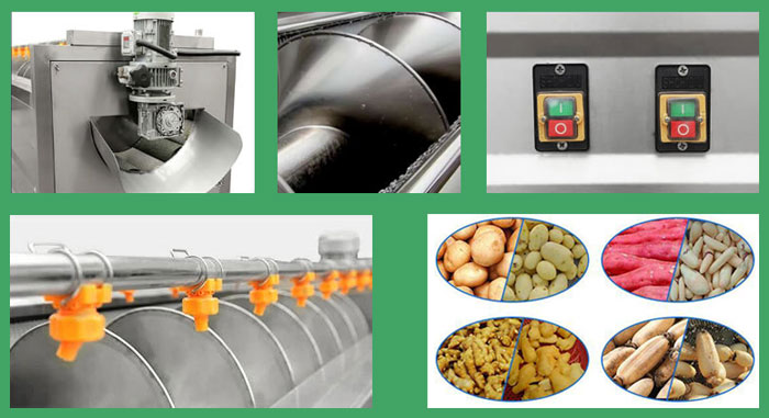 screw type potato washing peeling machine details