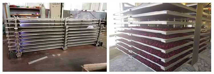 Shelf and trolley of food freeze dryer