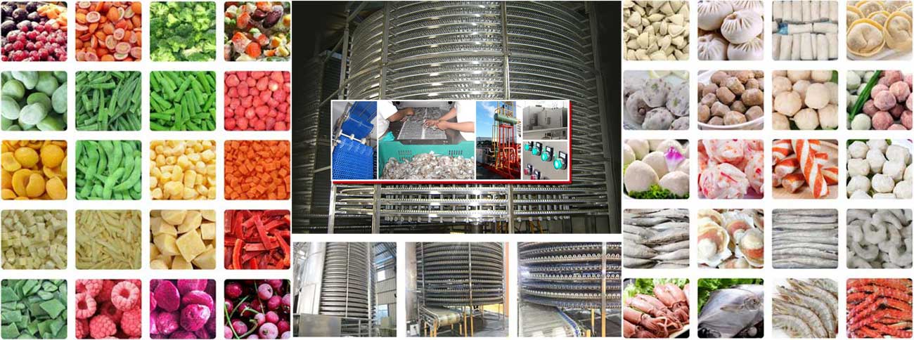 spiral iqf freezer application