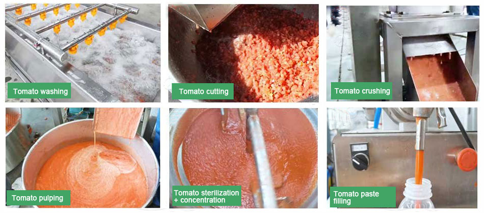 tomato ketchup processing procedures