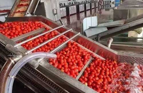 tomato washing machine