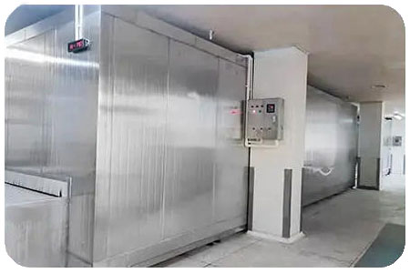 tunnel freezer fast freezing