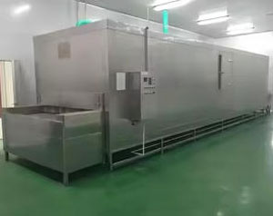 AGICO IQF tunnel freezer