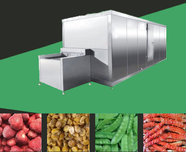 Tunnel type freezer